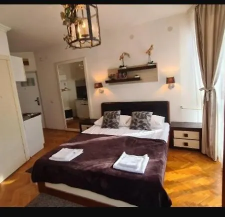 Visoki Stevan Apartments Belgrad Exteriör bild