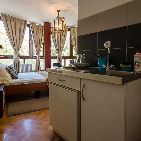 Visoki Stevan Apartments Belgrad Exteriör bild