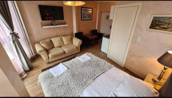 Apartment Visoki Stevan *