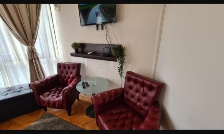 Apartment Visoki Stevan *