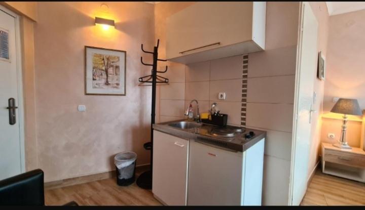 Visoki Stevan Lägenhet Belgrad
