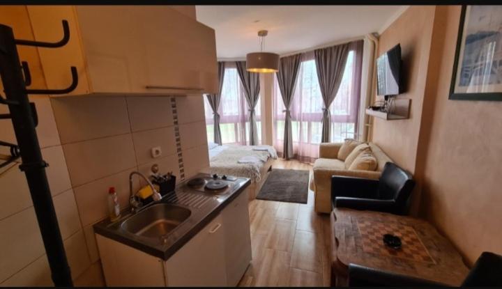 Apartment Visoki Stevan