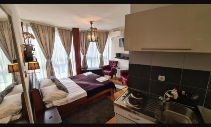 Apartment Visoki Stevan *
